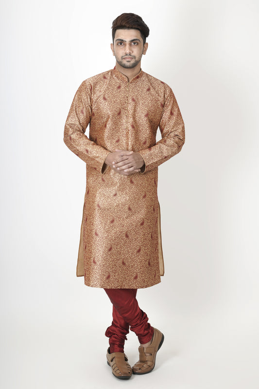 Dark Beige colour Kurta with embroidery work